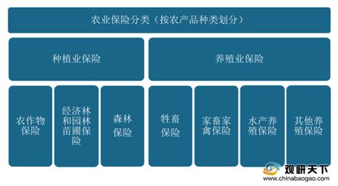 我国农业保险发展现状2019