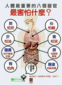 巨星医疗控股盘中异动股价大跌%报港元