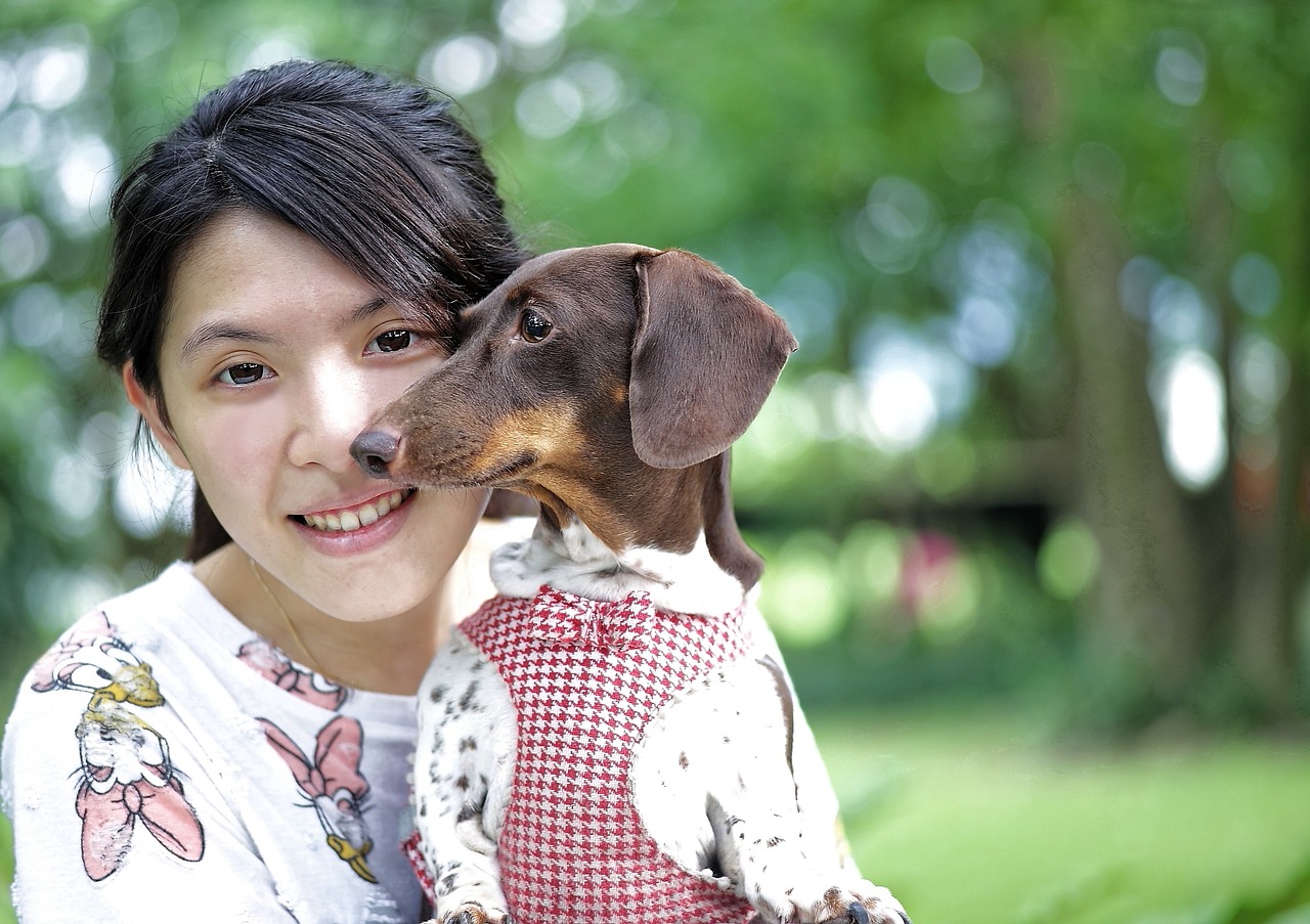 上海大型犬宠物寄养